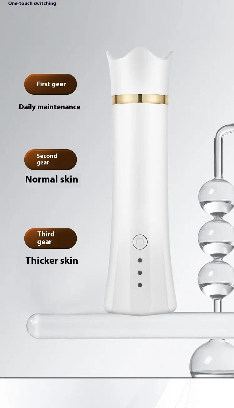 Dispositivo de limpieza facial portátil - image 2