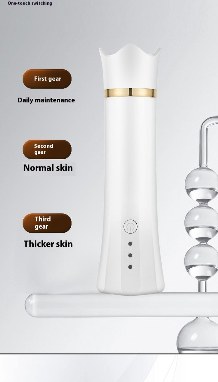 Portable Facial Cleansing Device