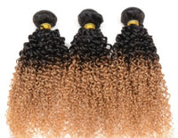 Ombre Human Hair Extensions - image 5