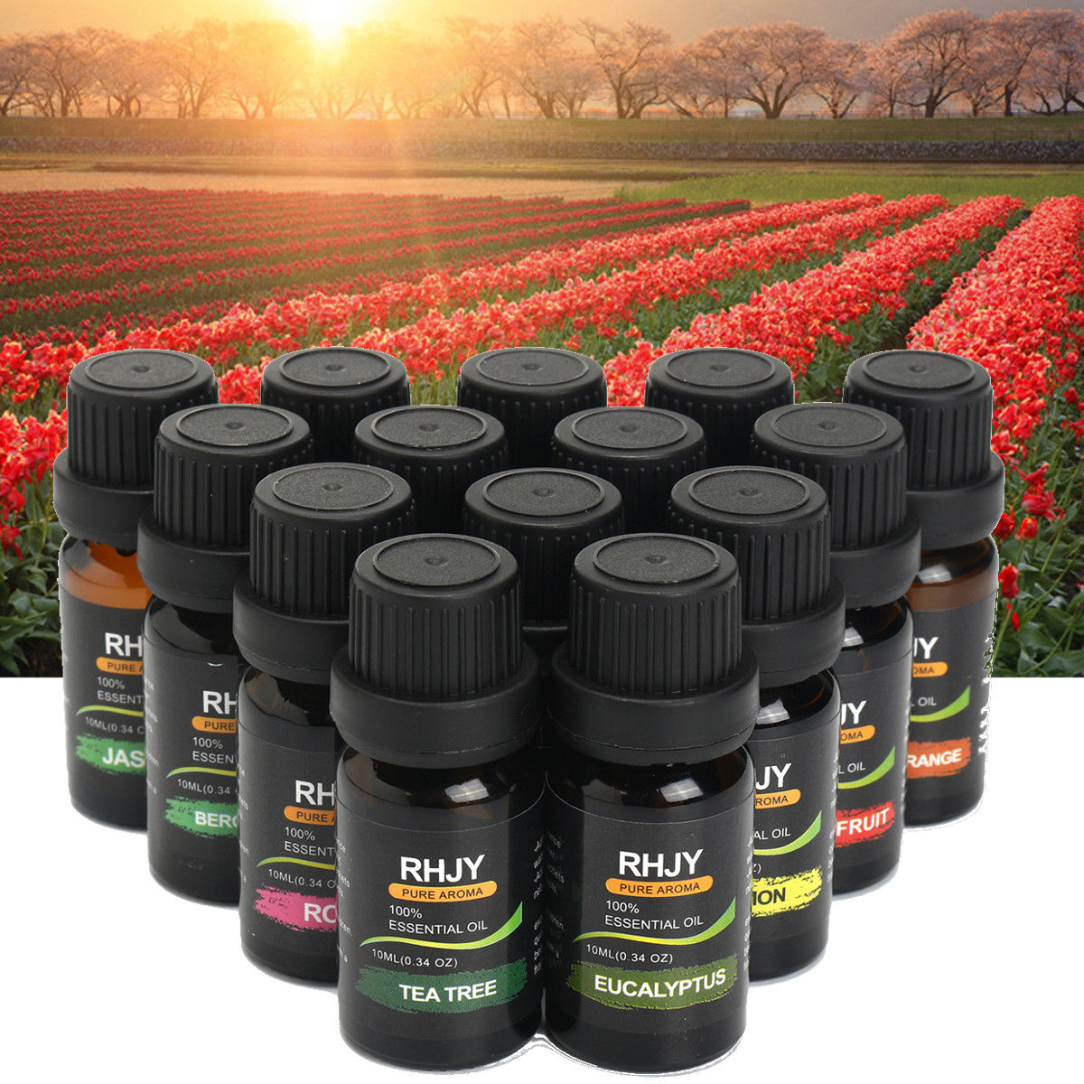 Diffuser Essential Oil Set - image 4