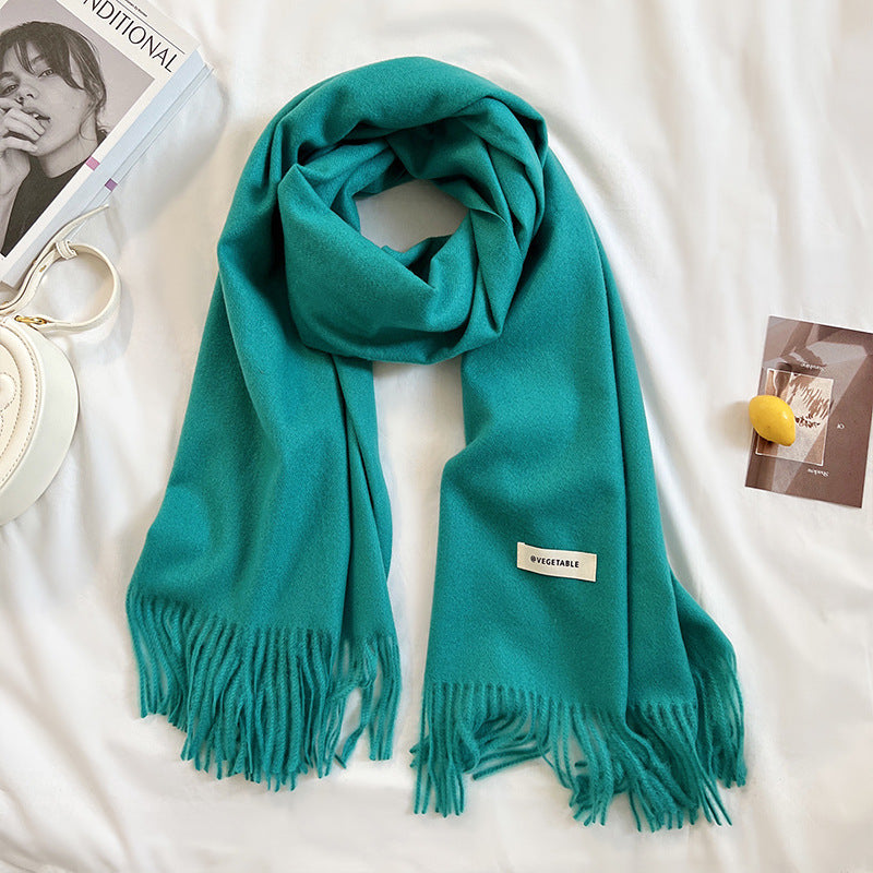 Thick Warm Tassel Shawl Scarf - image 10