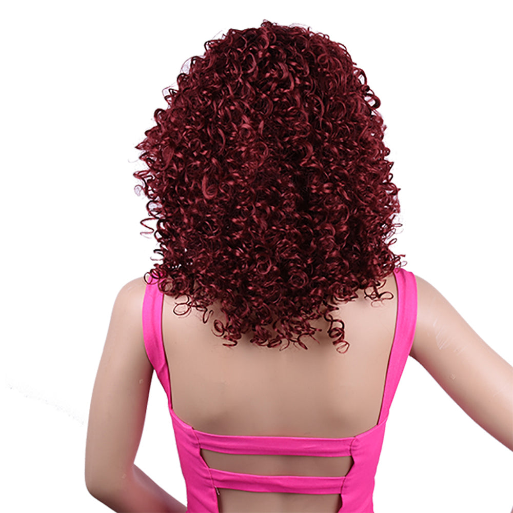 Synthetic Afro Curly Wig - image 6