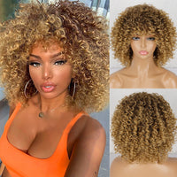 Synthetic Afro Curly Wig - image 1