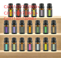 Aromatherapy Essential Oil Gift Box - image 7