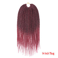 Senegal Box Braids Crochet Hair - image 11