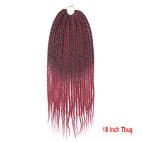 Senegal Box Braids Crochet Hair - image 12